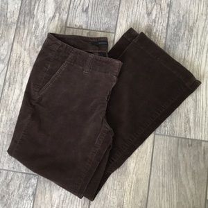 Express Corduroy Pants